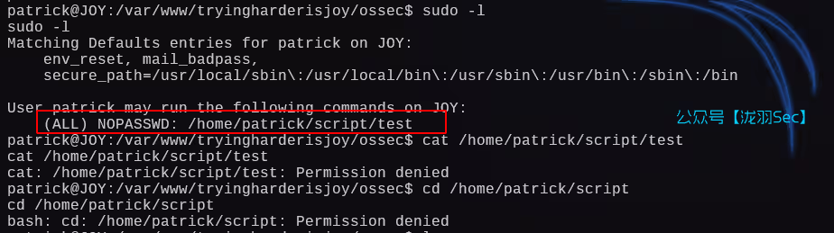 image-20250204225438901