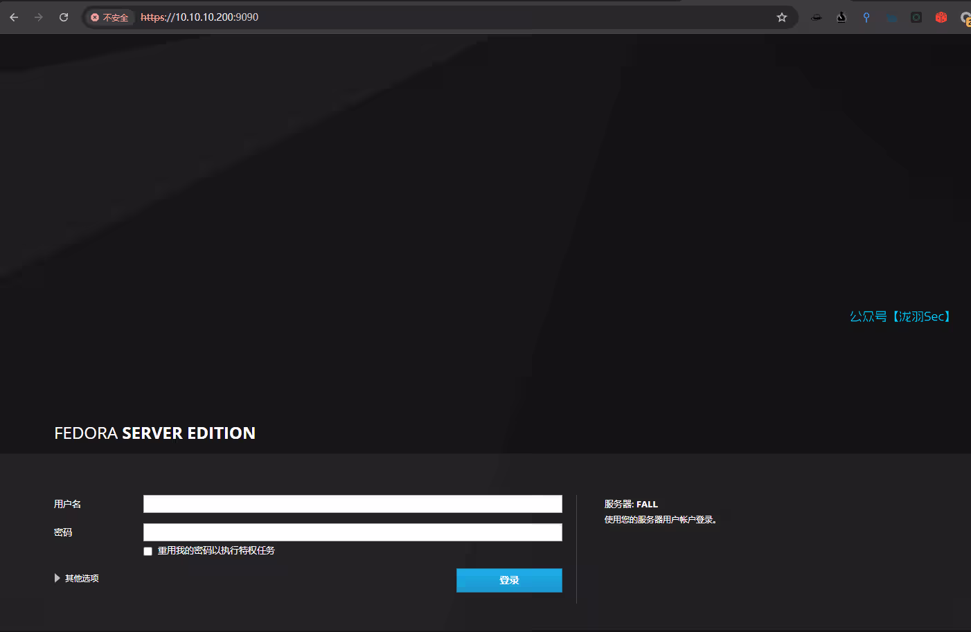 image-20250207203059876