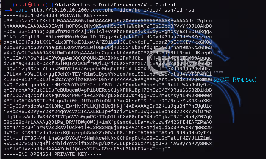 image-20250207203925276