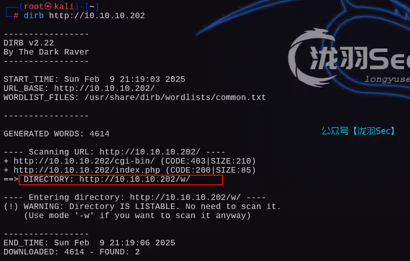 image-20250210101923608