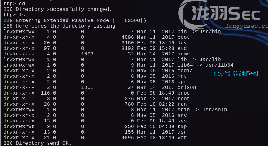 image-20250210121005317