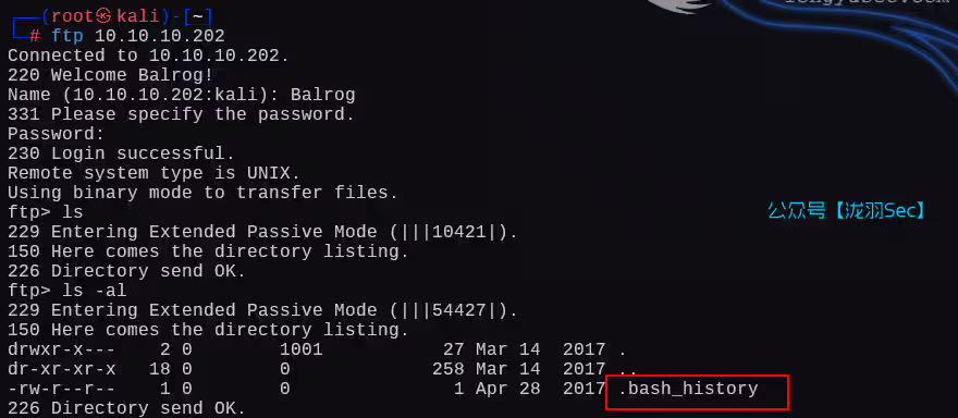 image-20250210120645914