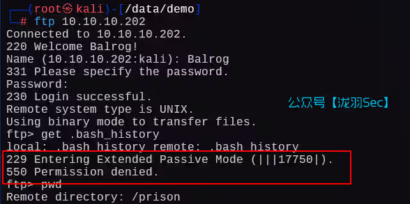 image-20250210120930700
