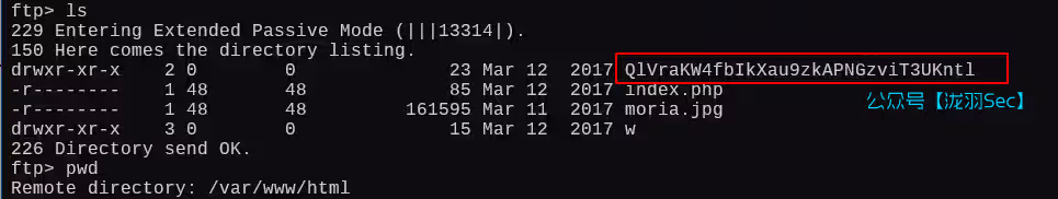 image-20250210121220285