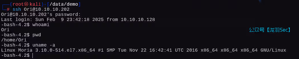 image-20250210124256726