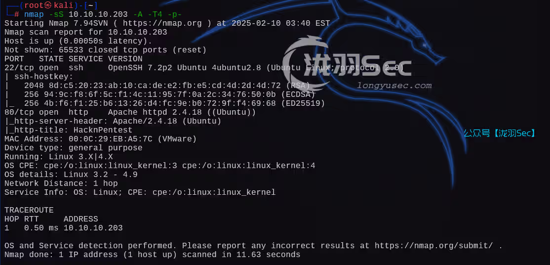 image-20250210164100519