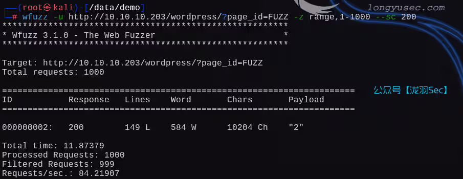 image-20250210195233415