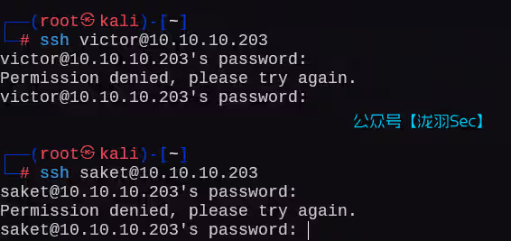 image-20250211202601083