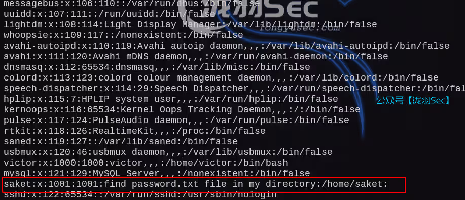 image-20250211202150150