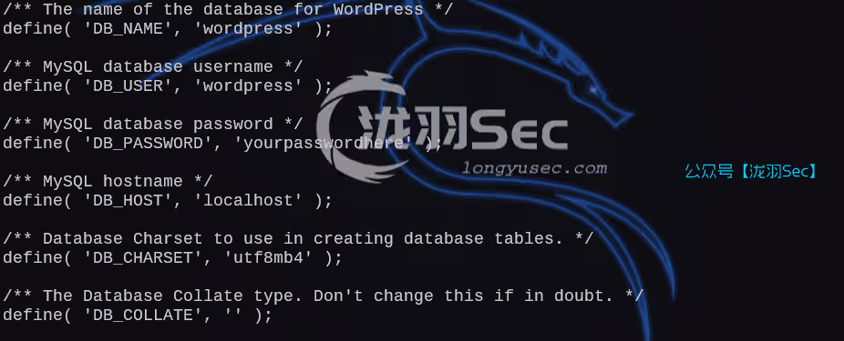image-20250211205311838