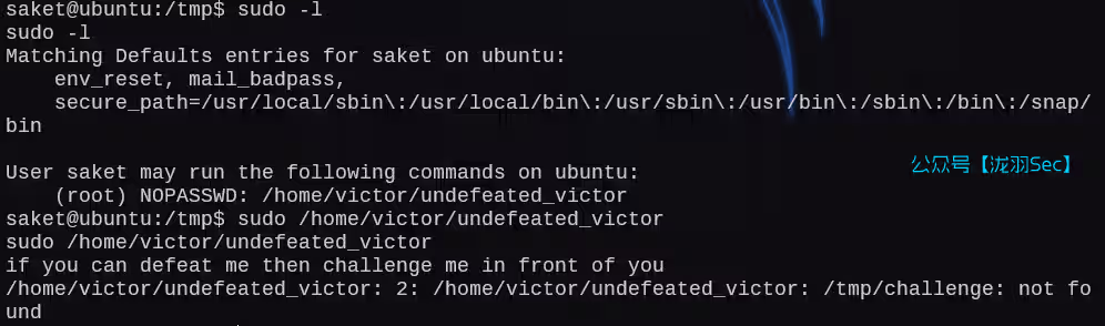 image-20250211215815575