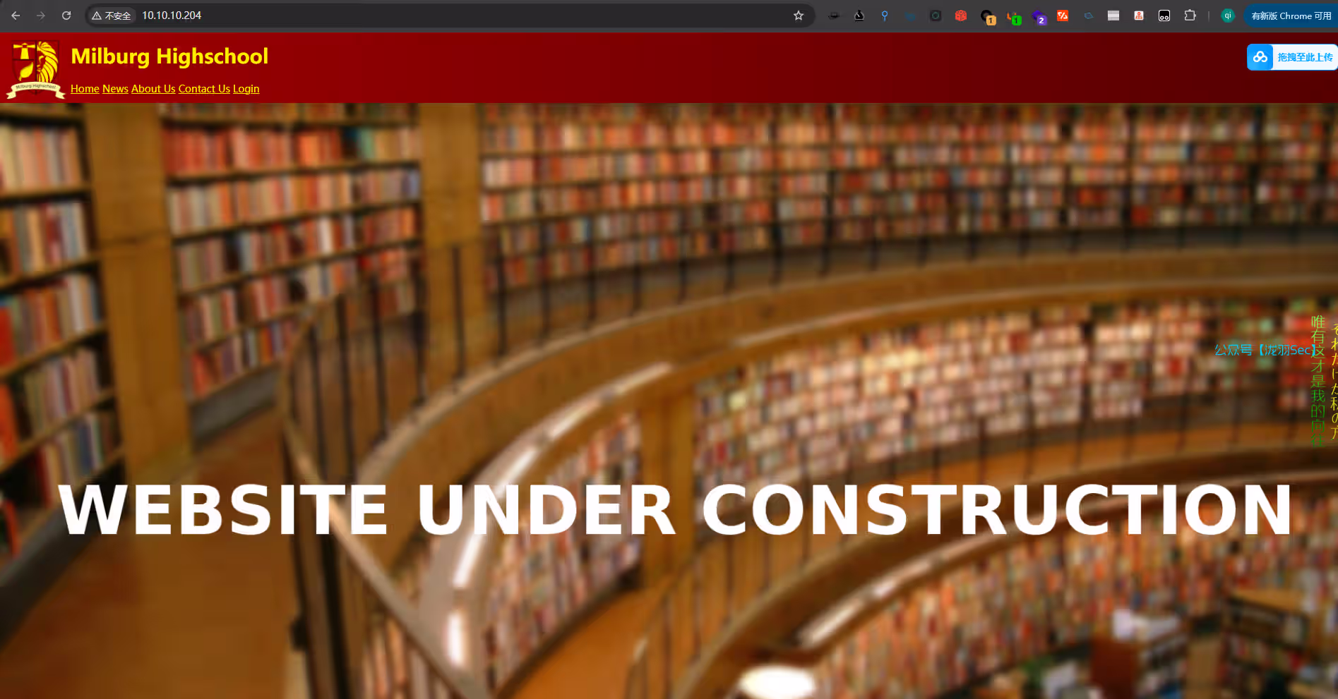 image-20250212121631235