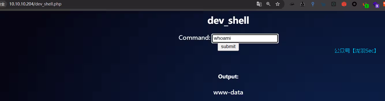 image-20250212122556054