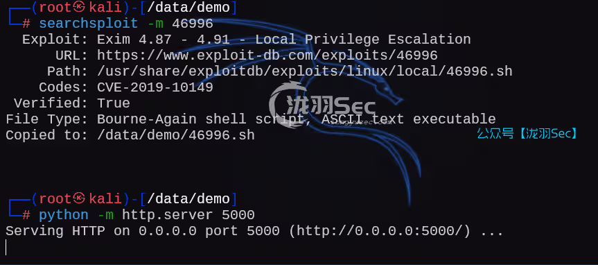 image-20250212184555161