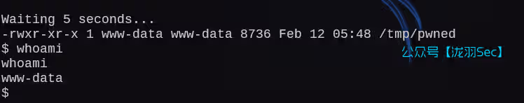 image-20250212184912511