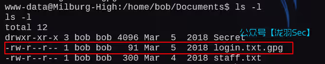 image-20250212202812445