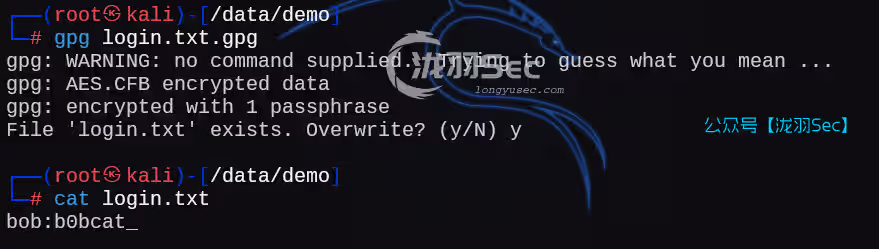 image-20250212232256284