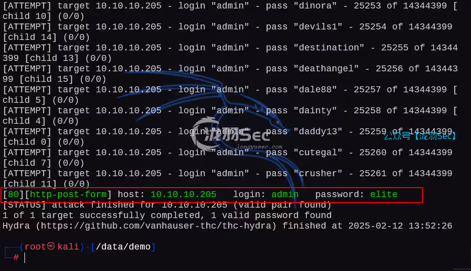 image-20250213132148491