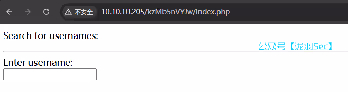 image-20250213132302214