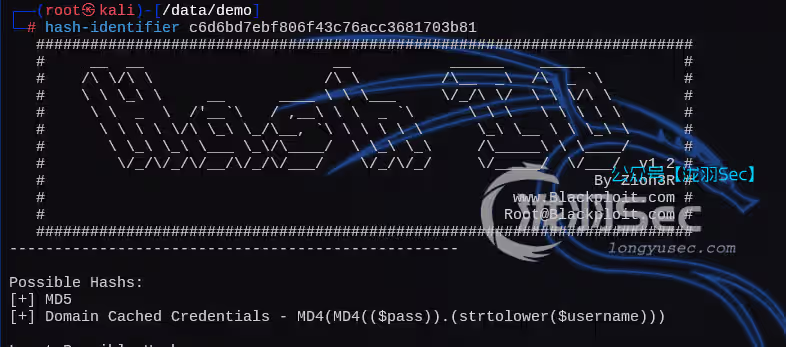 image-20250213155019036