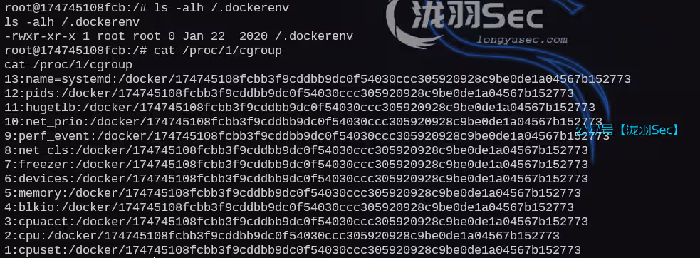 image-20250214223325289