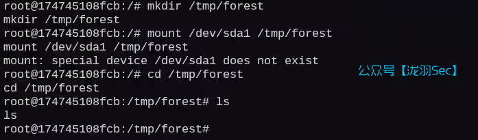 image-20250214224426807