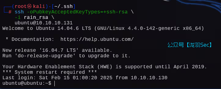 image-20250215170323988