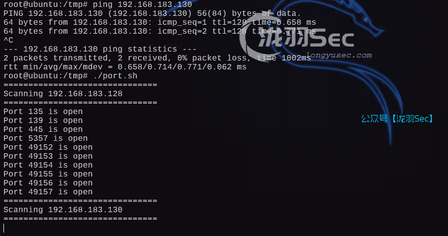 image-20250215204344219