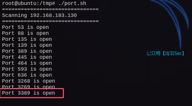 image-20250216180006703