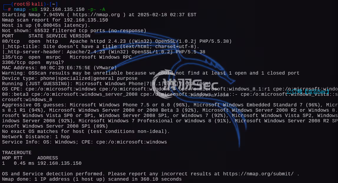 image-20250218154904989