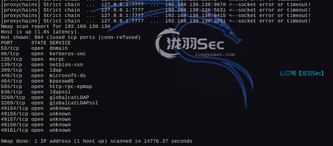 image-20250220111937318