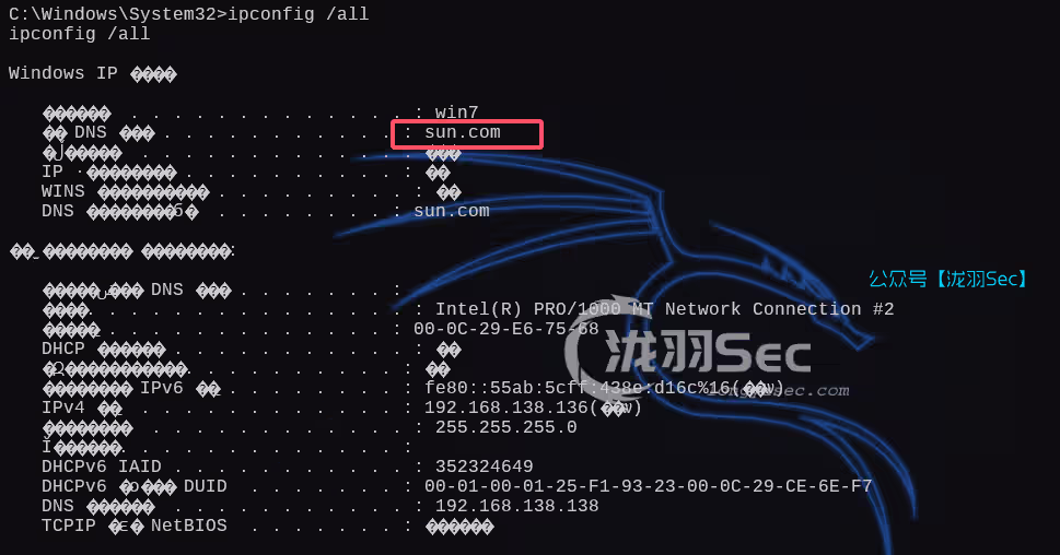 image-20250220140633077